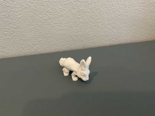 Mini rabbit